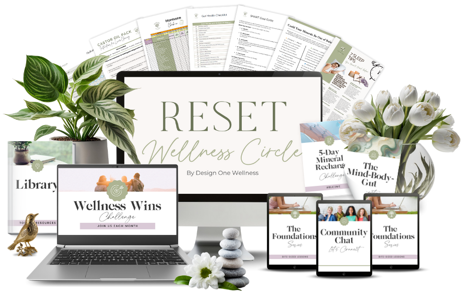 RESET Wellness Circle